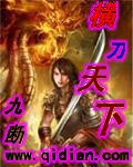 横刀天下封面