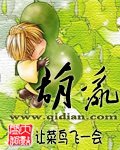 葫乱封面
