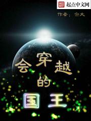 会穿越的国王封面