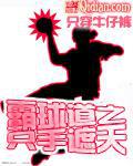 霸球道封面
