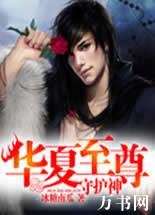 华夏至尊守护神封面