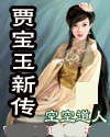 贾宝玉新传封面