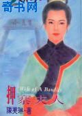 押寨夫人封面