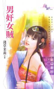男奸女贼封面