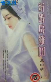 新婚房难圆封面