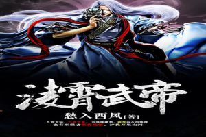 凌霄武帝封面