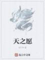 天之愿封面