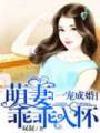 一宠成婚:萌妻乖乖入怀封面