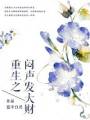 重生之闷声发大财封面