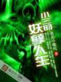 小三的妖孽人生封面