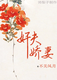 奸夫娇妻封面