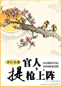 官人,提枪上阵封面
