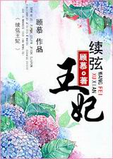 续弦王妃封面