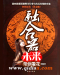 未来融合器封面