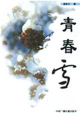 青春雪封面