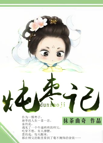 炖枣记封面