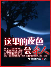 这里的夜色会杀人封面