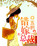 隐婚总裁封面