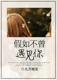 假如不曾遇见你封面