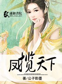 凤揽天下封面