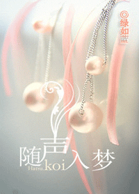 随声入梦封面