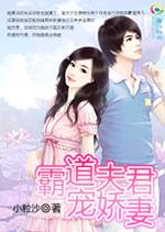 霸道夫君宠娇妻封面