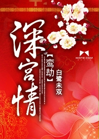 深宫情鸾劫封面