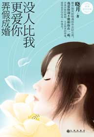 弄假成婚封面