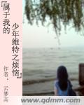 属于我的少年维特之烦恼封面
