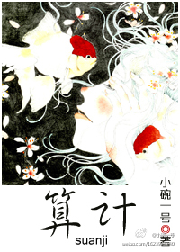 算计封面