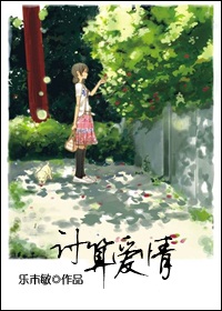 计算爱情封面