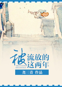 被流放的这两年封面