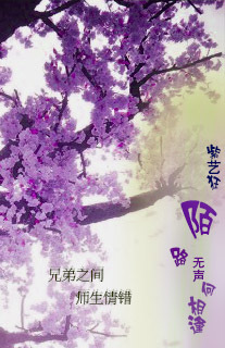 陌路无声何相逢封面