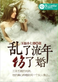 乱了流年伤了婚封面