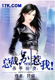 总裁,别惹我封面