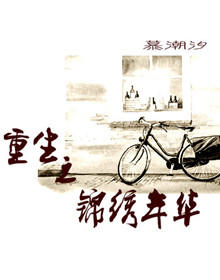 重生之锦绣年华封面