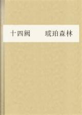 琥珀森林(出书版)封面