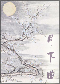 月落七弦封面