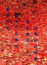 繁华尽处封面