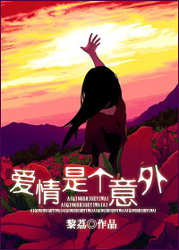 爱情是个意外封面