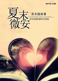 夏末微安封面