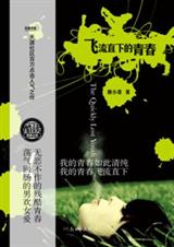 飞流直下的青春封面