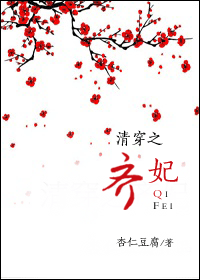清穿之齐妃封面