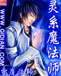 灵系魔法师封面