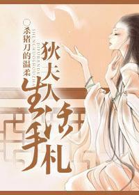 狄夫人生活手扎封面