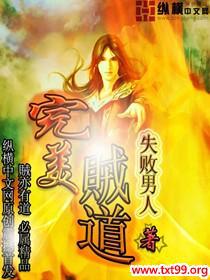 完美贼道封面