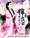 锦玉良田封面