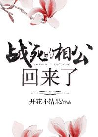 战死的相公回来了封面