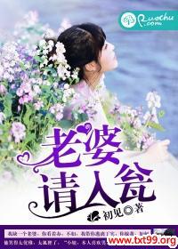 老婆,请入瓮封面